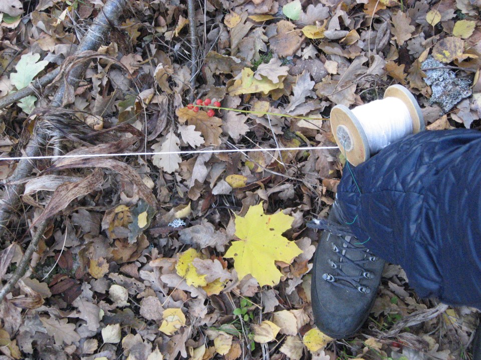 a spool of thread on my leg
