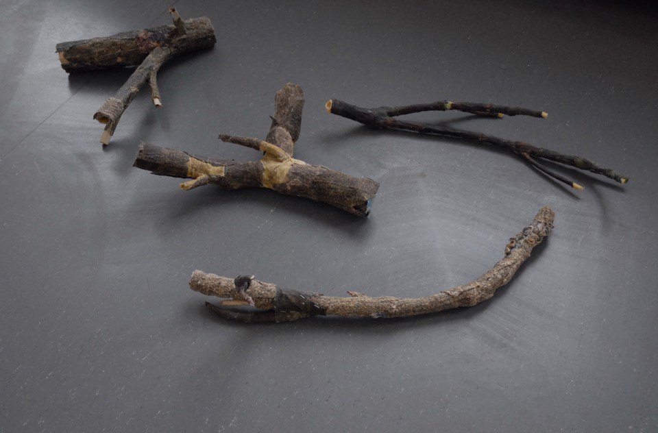 Branches,2010, photo by Marja Söderlund