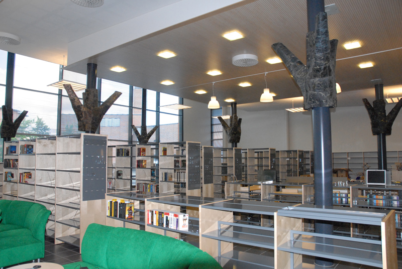 Plane Tree Lane 8 90420 Oulu, 2008, library
