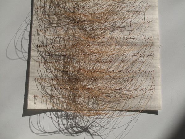 Writing Exercises, 2016