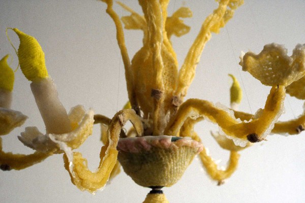 Chandelier, 2001, mixed media, sugar